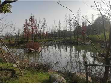 湖南仁仁洁国际清洁科技集团股份有限公司：园林养护园林管养绿化专业公司绿化养护实力先驱者