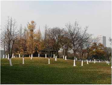 熊出没之探险日记S01E14mp4