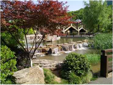 超80株树被剪成“秃头”涉事企业被立案调查